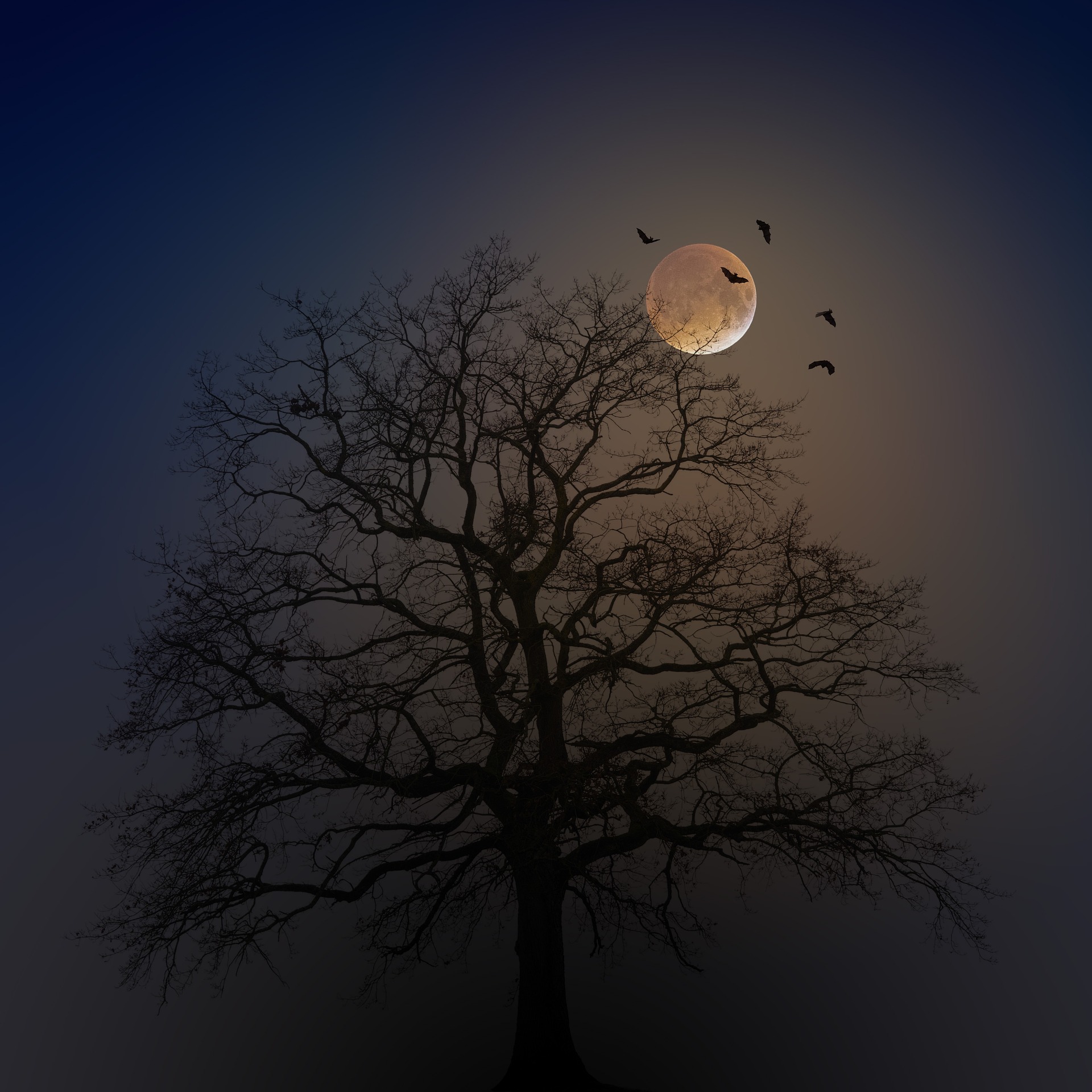halloween-4582988_1920